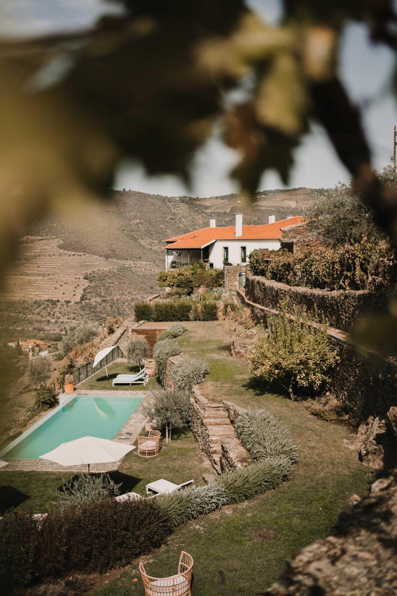 Quinta da Gricha Ervedosa do Douro Exterior foto