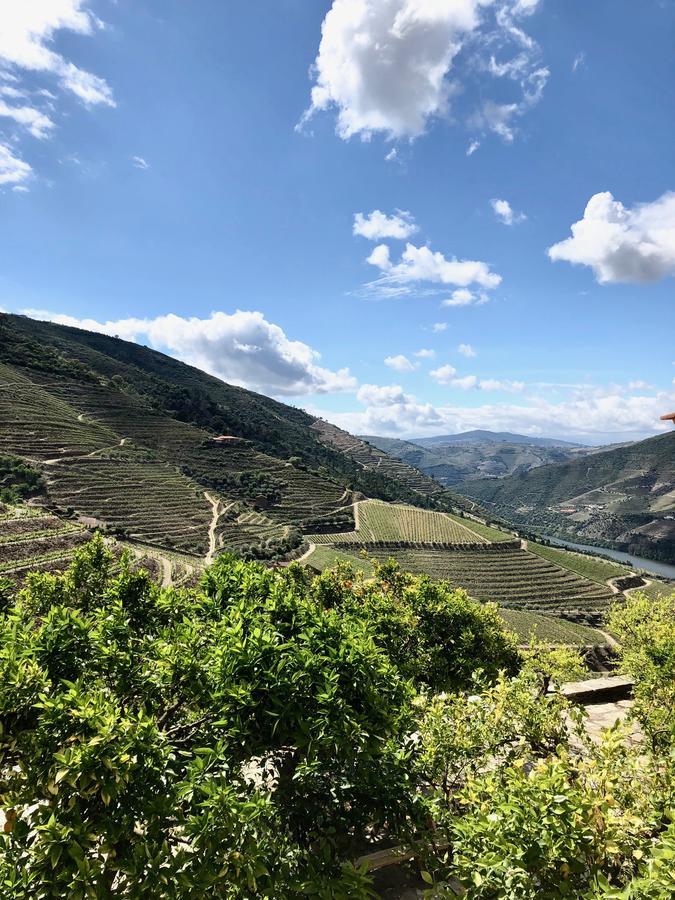 Quinta da Gricha Ervedosa do Douro Exterior foto