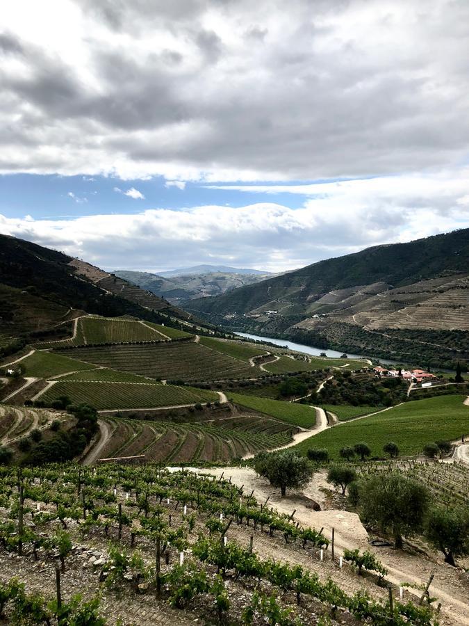 Quinta da Gricha Ervedosa do Douro Exterior foto